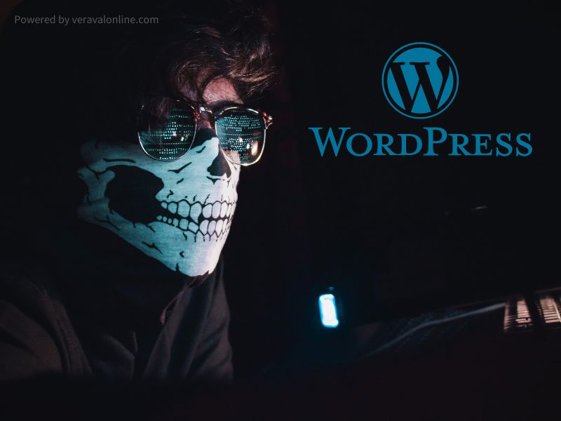How to secure WordPress Website?